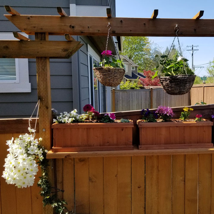 A 2x10 and three new planters created this shelf